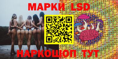 синтетический гашиш Сланцы