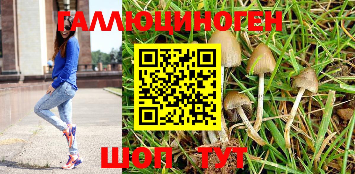 Псилоцибиновые грибы Magic Shrooms Батайск